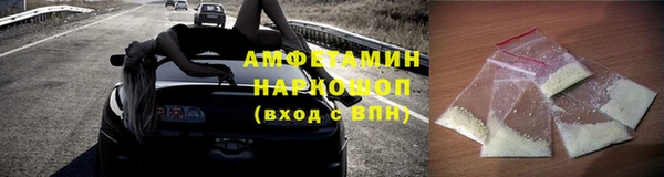 сатива Горняк
