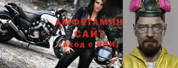 сатива Горняк