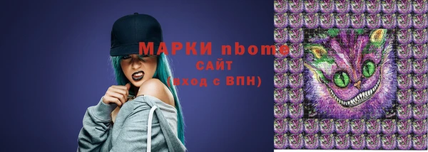 сатива Горняк
