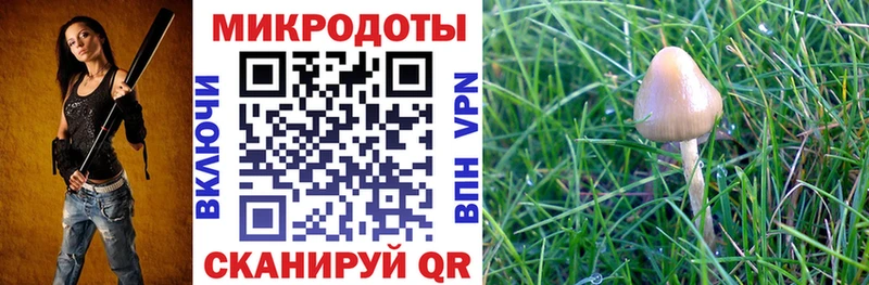 shop как зайти  закладки  Белоусово  Галлюциногенные грибы мухоморы  OMG ссылка 